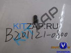 �������� ����� �����