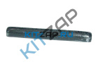 ����� ����� �������� ����